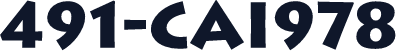 491-CAI978