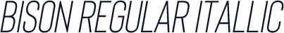 Bison Regular Itallic
