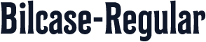 Bilcase-Regular