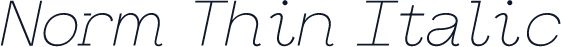 Norm Thin Italic