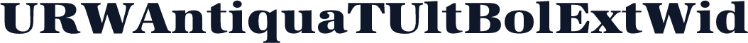 URWAntiquaTUltBolExtWid
