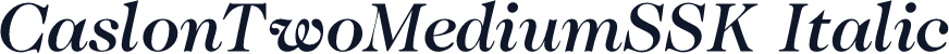 CaslonTwoMediumSSK Italic