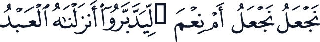 QCF_P455