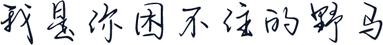我是你困不住的野马