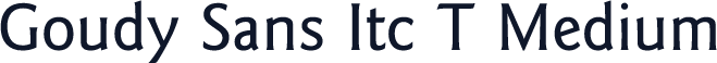 Goudy Sans Itc T Medium