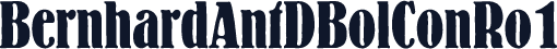 BernhardAntDBolConRo1
