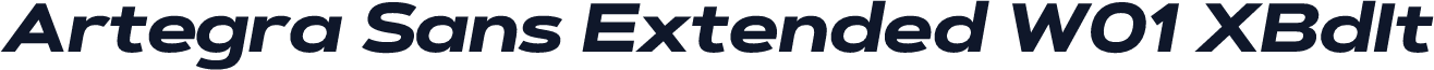 Artegra Sans Extended W01 XBdIt