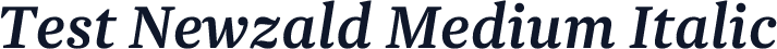Test Newzald Medium Italic