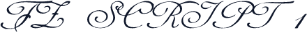 FZ SCRIPT 1