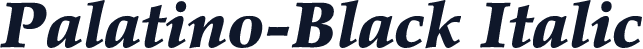 Palatino-Black Italic