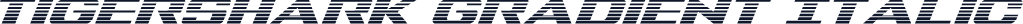 Tigershark Gradient Italic