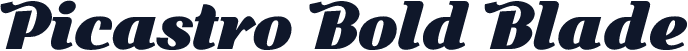 Picastro Bold Blade
