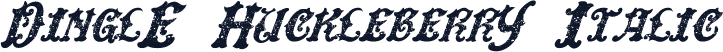 DinglE HuckleberrY Italic