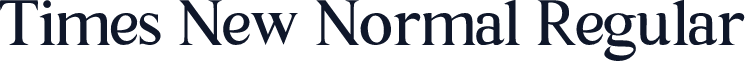 Times New Normal Regular
