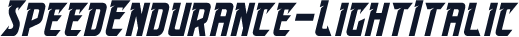 SpeedEndurance-LightItalic