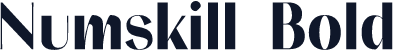 Numskill Bold