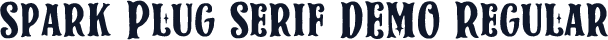 Spark Plug Serif DEMO Regular