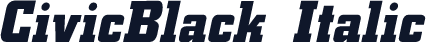 CivicBlack Italic