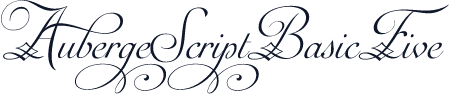 AubergeScriptBasicFive