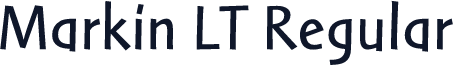 Markin LT Regular