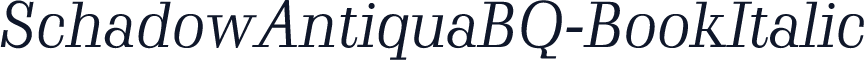 SchadowAntiquaBQ-BookItalic