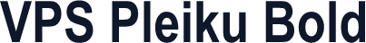 VPS Pleiku Bold