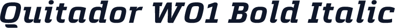Quitador W01 Bold Italic