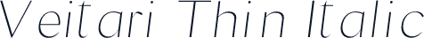 Veitari Thin Italic