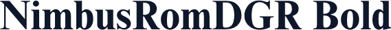 NimbusRomDGR Bold