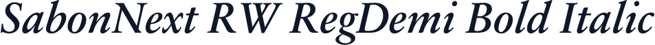 SabonNext RW RegDemi Bold Italic
