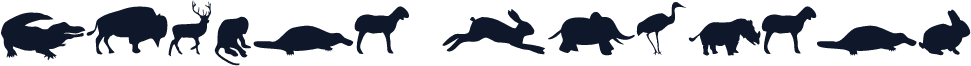 Animal  Regular001.001