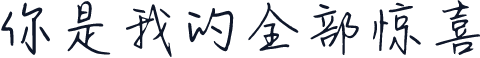 你是我的全部惊喜
