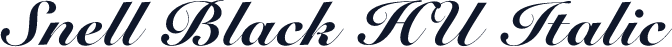 Snell Black HU Italic
