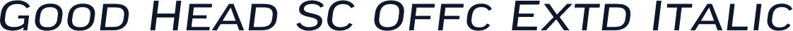 Good Head SC Offc Extd Italic