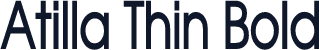 Atilla Thin Bold