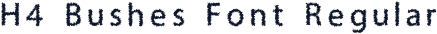 H4 Bushes Font Regular