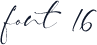 font 16