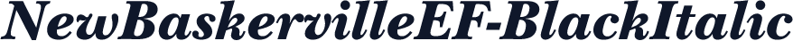 NewBaskervilleEF-BlackItalic