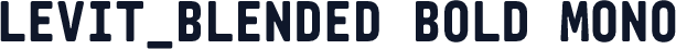 Levit_Blended Bold Mono