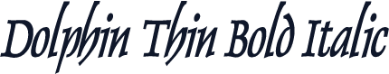 Dolphin Thin Bold Italic