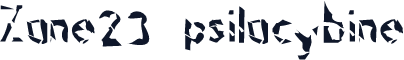 Zone23_psilocybine