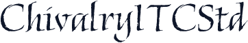 ChivalryITCStd