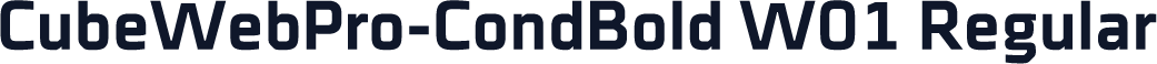CubeWebPro-CondBold W01 Regular