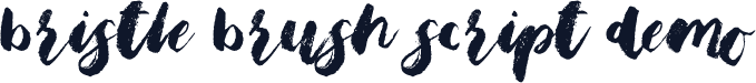 Bristle Brush Script Demo
