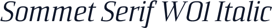 Sommet Serif W01 Italic