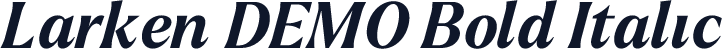 Larken DEMO Bold Italic