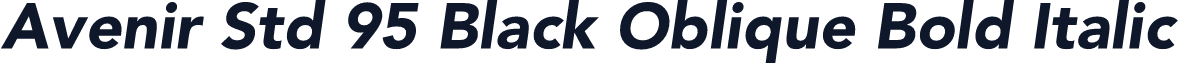 Avenir Std 95 Black Oblique Bold Italic