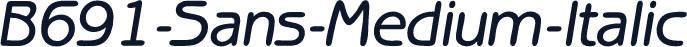 B691-Sans-Medium-Italic