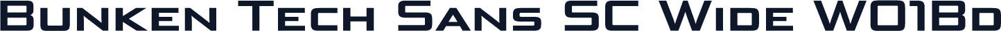 Bunken Tech Sans SC Wide W01Bd