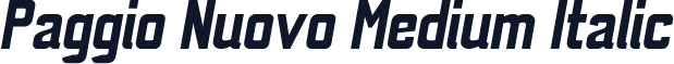 Paggio Nuovo Medium Italic